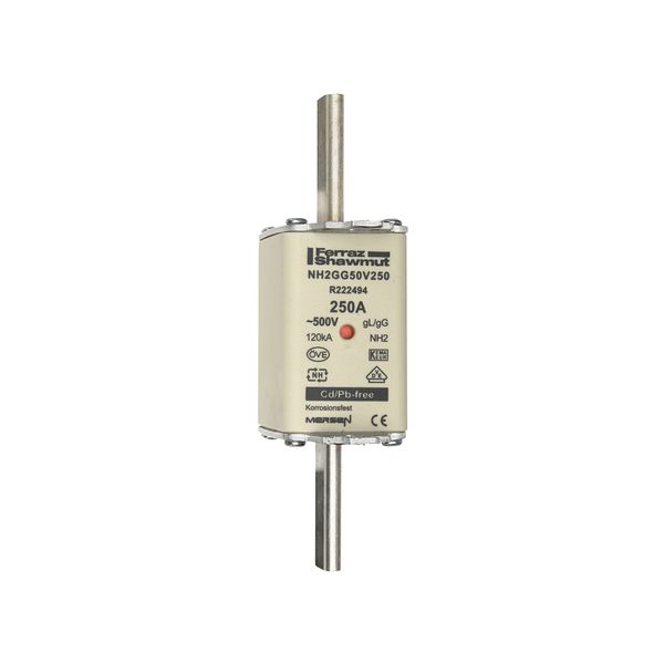 Fuse-link NH2 gG 500VAC 250A live tags Double indicator image 1