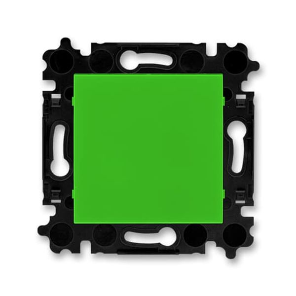 3902H-A00001 67W Cable Outlet / Blank Plate / Adapter Ring Blind plate None green - Levit image 1