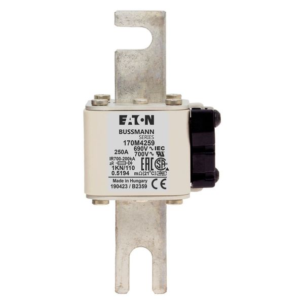 Fuse-link, high speed, 250 A, AC 690 V, DIN 1, 53 x 69 x 138 mm, aR, DIN, IEC, single indicator image 17