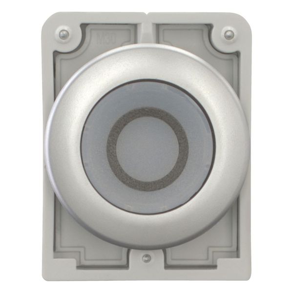 Illuminated pushbutton actuator, RMQ-Titan, Flat, momentary, White, inscribed 0, Metal bezel image 9