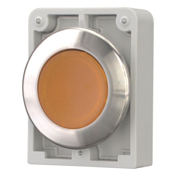 Illuminated pushbutton actuator, RMQ-Titan, flat, maintained, orange, blank, Front ring stainless steel image 9