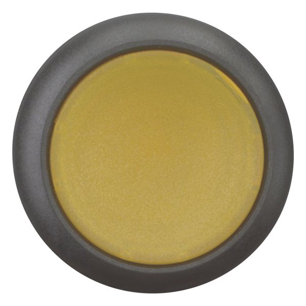 Illuminated pushbutton actuator, RMQ-Titan, Flush, momentary, yellow, Blank, Bezel: black image 5