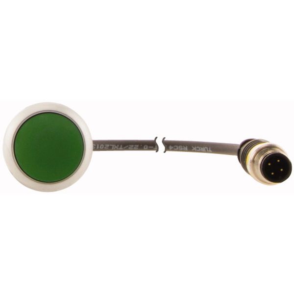 Pushbutton, Flat, momentary, 1 N/O, Cable (black) with M12A plug, 4 pole, 1 m, green, Blank, Bezel: titanium image 2