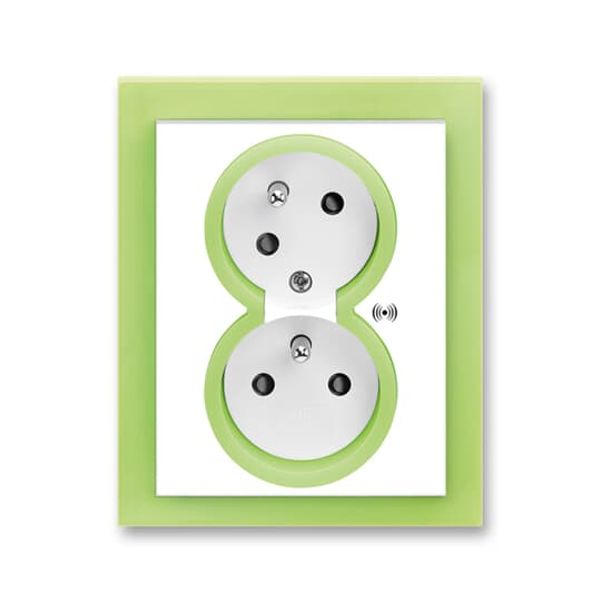 5583M-C02357 42 Double socket outlet with earthing pins, shuttered, with turned upper cavity, with surge protection image 1