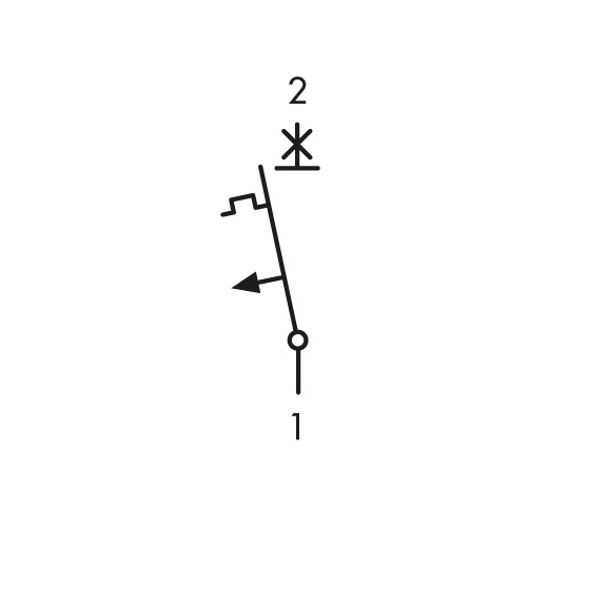 Miniature Ciruit Breaker (MCB) C, 13A, 1-pole,swiss standard image 3