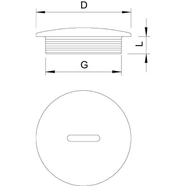 108 M63 PS Screw plug  M63 image 2