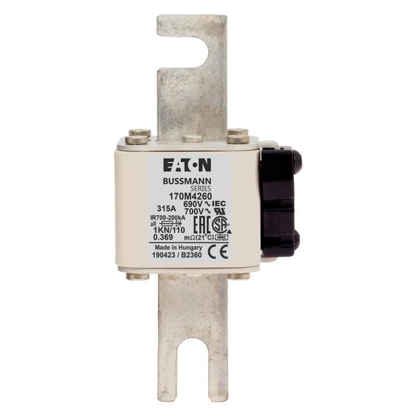 Fuse-link, high speed, 315 A, AC 690 V, DIN 1, 53 x 69 x 138 mm, aR, DIN, IEC, single indicator image 18