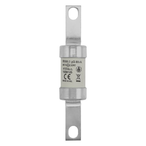 Fuse-link, LV, 100 A, AC 415 V, BS88/B1, 26 x 126 mm, gM, BS, 100M125 image 22