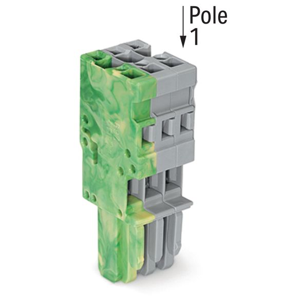 1-conductor female connector CAGE CLAMP® 4 mm² gray, green-yellow image 1