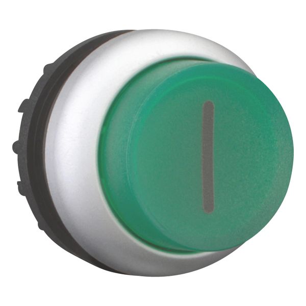 Illuminated pushbutton actuator, RMQ-Titan, Extended, momentary, green, inscribed, Bezel: titanium image 8