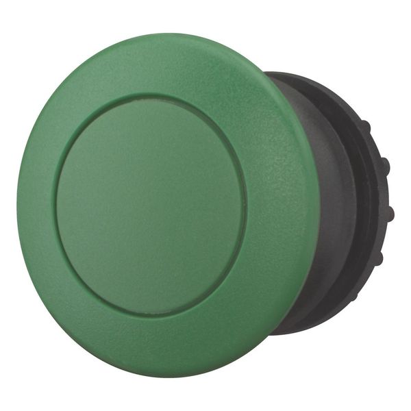 Mushroom actuator, RMQ-Titan, Mushroom, momentary, Mushroom green, green, Blank, Bezel: black image 5