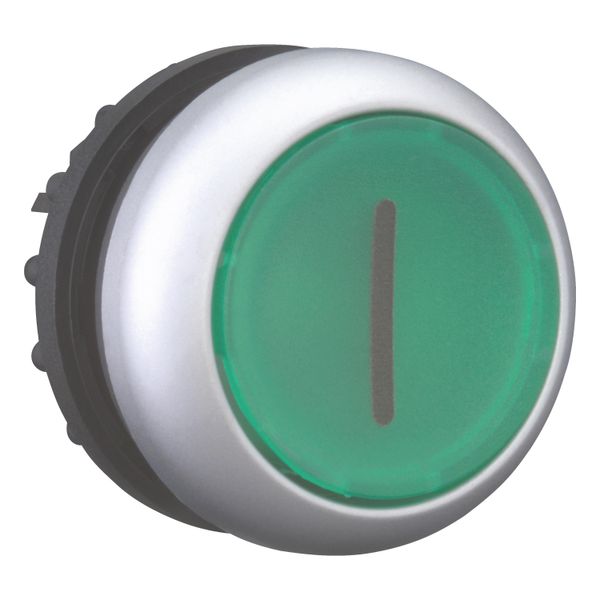 Illuminated pushbutton actuator, RMQ-Titan, Flush, momentary, green, inscribed, Bezel: titanium image 12