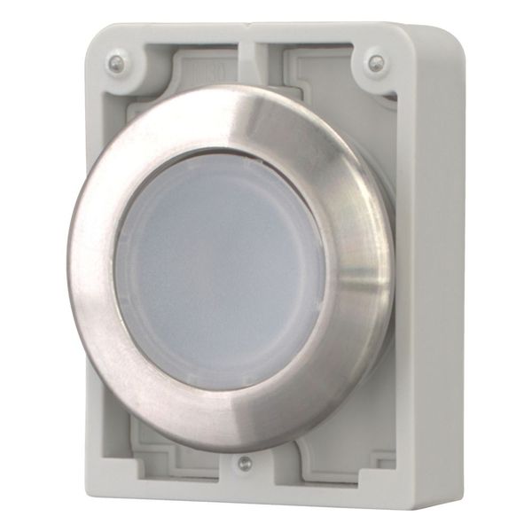 Illuminated pushbutton actuator, RMQ-Titan, flat, maintained, White, blank, Front ring stainless steel image 12