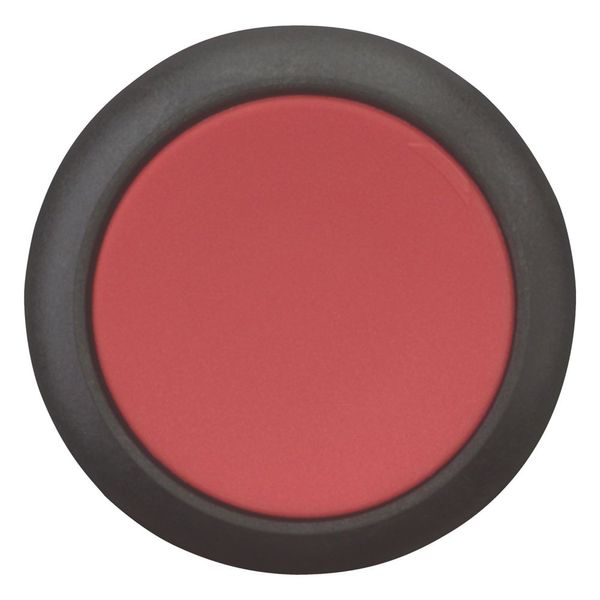Pushbutton, Flat, maintained, 1 NC, 1 N/O, Screw connection, red, Blank, Bezel: black image 3