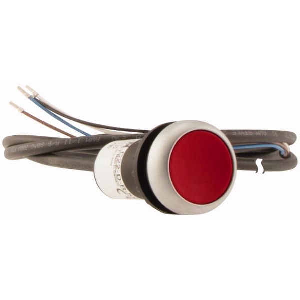 Pushbutton, Flat, momentary, 1 NC, Cable (black) with non-terminated end, 4 pole, 3.5 m, red, Blank, Bezel: titanium image 4