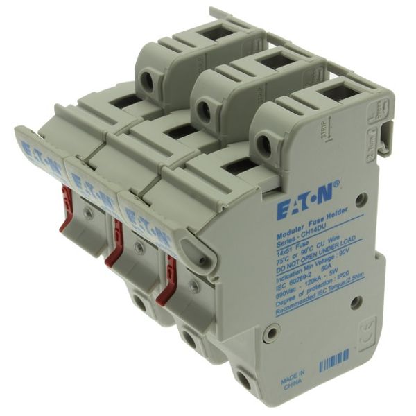 Fuse-holder, low voltage, 50 A, AC 690 V, 14 x 51 mm, 3P, IEC, With indicator image 3