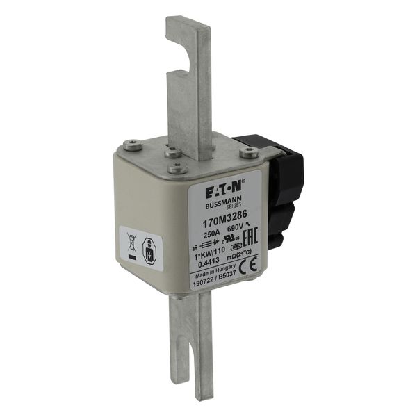 FUSE 250A 690V 1*KW/110 AR. image 25