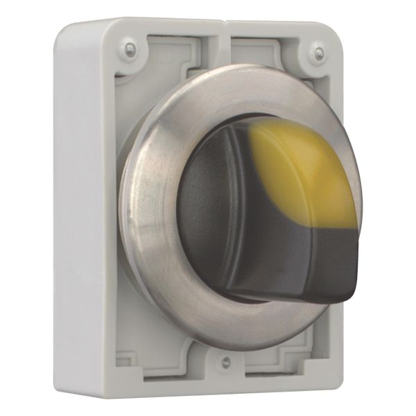 Illuminated selector switch actuator, RMQ-Titan, with thumb-grip, momentary, 3 positions, yellow, Front ring stainless steel image 12