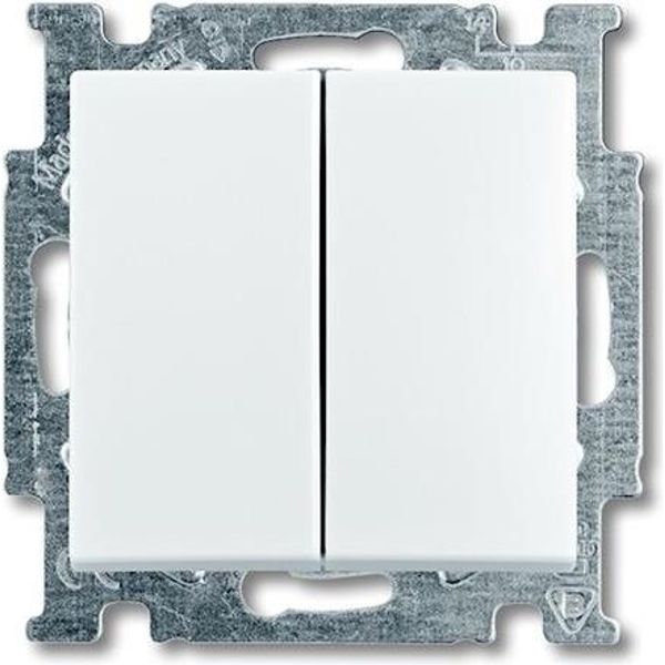 2006/5 UC-94-507 Cover Plates (partly incl. Insert) Rocker/button Series switch alpine white - Basic55 image 1