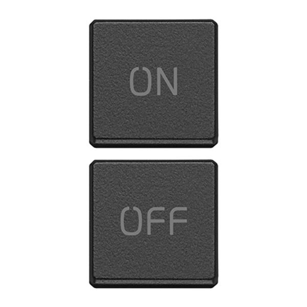 2 buttons Flat ON/OFF grey image 1