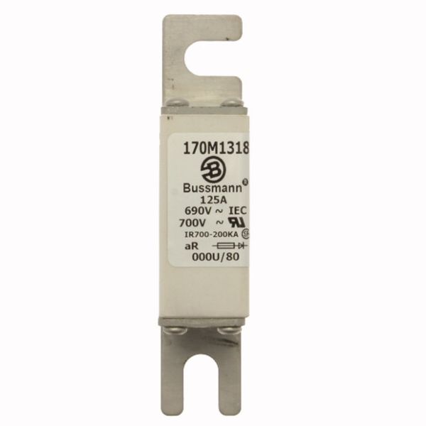 Fuse-link, high speed, 160 A, AC 690 V, DIN 000, 21 x 40 x 100 mm, aR, DIN, IEC image 2