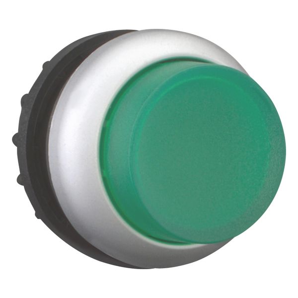 Illuminated pushbutton actuator, RMQ-Titan, Extended, momentary, green, Blank, Bezel: titanium image 12