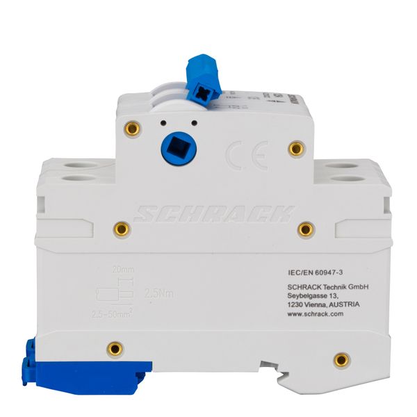 Main Load-Break Switch (Isolator) 125A, 2-pole image 3