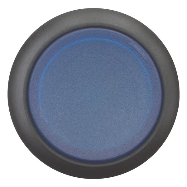 Illuminated pushbutton actuator, RMQ-Titan, Extended, momentary, Blue, Blank, Bezel: black image 5