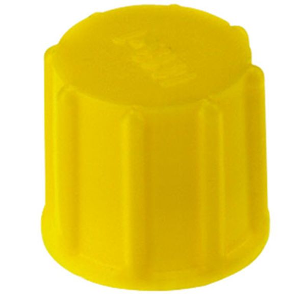 Protective cap (circular connector), M 8, Polyethylene, IP20 image 1