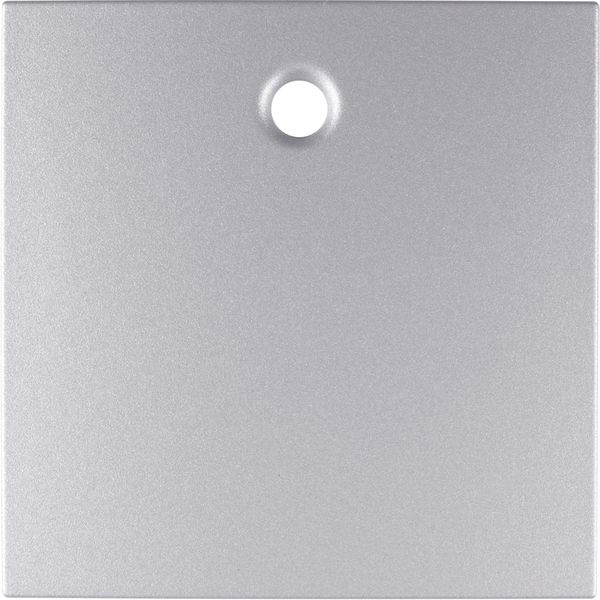Centre plate for pullcord switch/pullcord push-button, B.7, al., matt, image 1