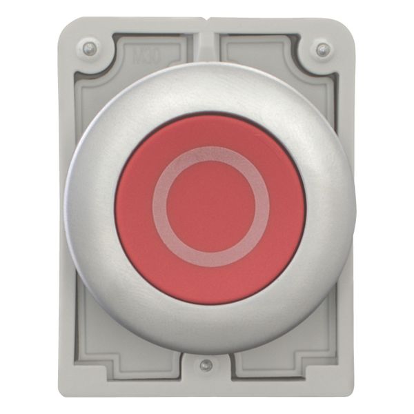 Pushbutton, RMQ-Titan, Flat, momentary, red, inscribed, Metal bezel image 4