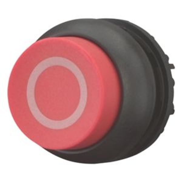 Pushbutton, RMQ-Titan, Extended, momentary, red, inscribed, Bezel: black image 2