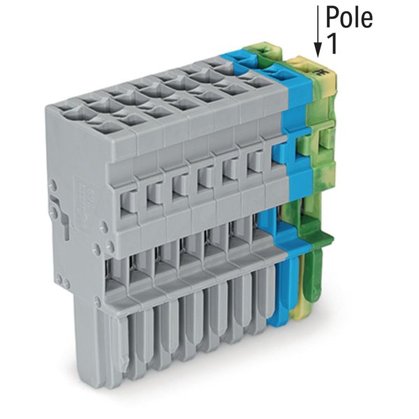 1-conductor female connector CAGE CLAMP® 4 mm² green-yellow/blue/gray image 2