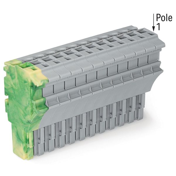 1-conductor female connector Push-in CAGE CLAMP® 4 mm² gray image 2