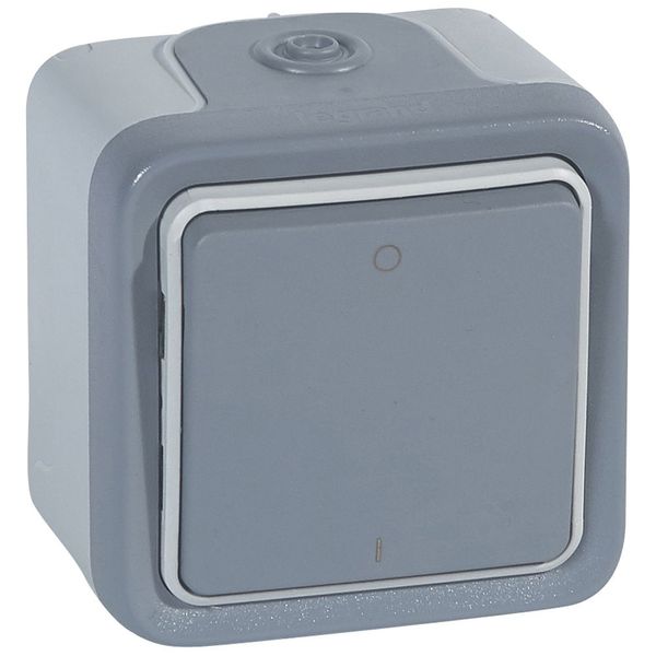 Double pole switch Plexo - IP 55-IK 07 - 10 AX-250 V~ - surface mounting - grey image 1