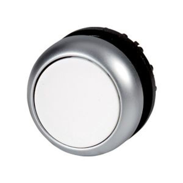 Illuminated pushbutton actuator, RMQ-Titan, Flush, momentary, Sealed and undetachable pushbutton pressel, White, Blank, Bezel: titanium image 2