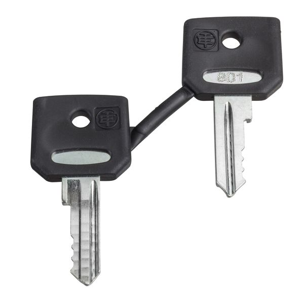 Harmony XB4, Set of 2 keys, Ronis 455 image 1