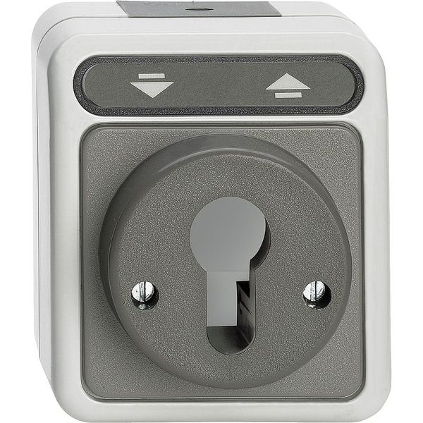 Roller shutter push-button switch for locking cylinder, light gray, AQUASTAR image 1