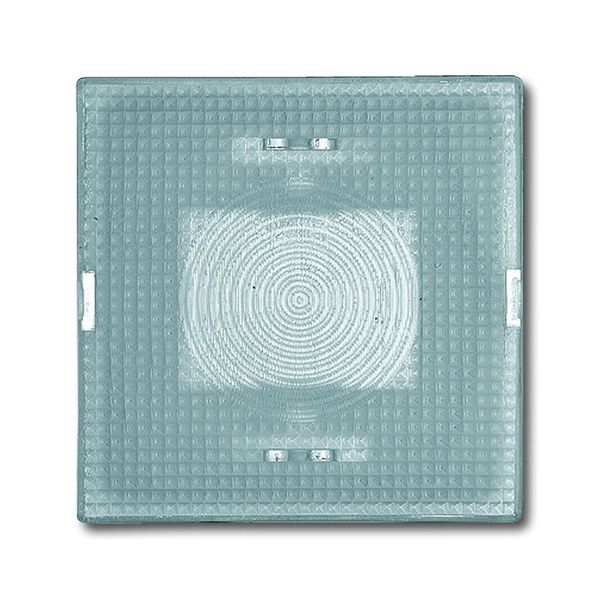 2664-11-101 CoverPlates (partly incl. Insert) carat® clear-transparent image 1