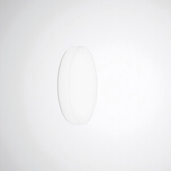 Wall and ceiling luminaire Olisq R Diffuser White around ETDD 29W 3800lm Lambertian (L) IP40 IK03 3 SDCM image 1