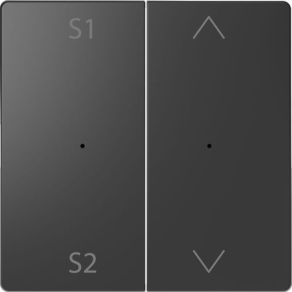 Rockers for button module 2-fold (Scene 1/2, Up/Down), anthracite, system design image 1