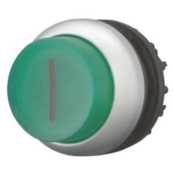 Illuminated pushbutton actuator, RMQ-Titan, Extended, maintained, green, inscribed, Bezel: titanium image 8