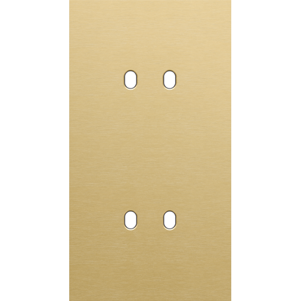 Twofold faceplate, vertical 71 mm centre distance, for double switch f image 2