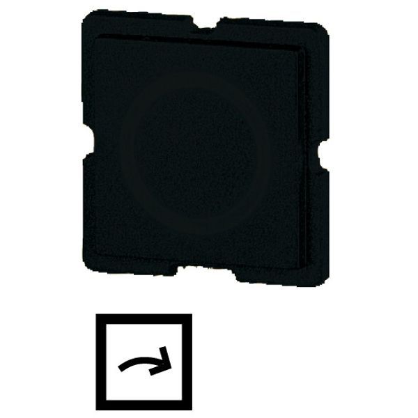 Button plate, 25 x 25 mm, arrow symbol image 1