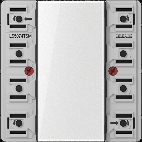 Standard push-button module 4-gang LS5074TSM image 2