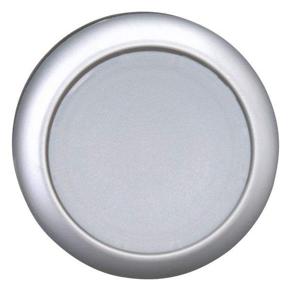 Illuminated pushbutton actuator, RMQ-Titan, Flush, momentary, White, Blank, Bezel: titanium image 4