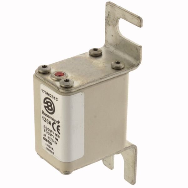 Fuse-link, high speed, 125 A, AC 690 V, DIN 00, 30 x 51 x 100 mm, aR, DIN, IEC, single indicator image 3