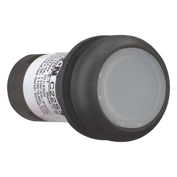 Illuminated pushbutton actuator, Flat, momentary, 1 N/O, Screw connection, LED white, White, Blank, 24 V AC/DC, Bezel: black image 13