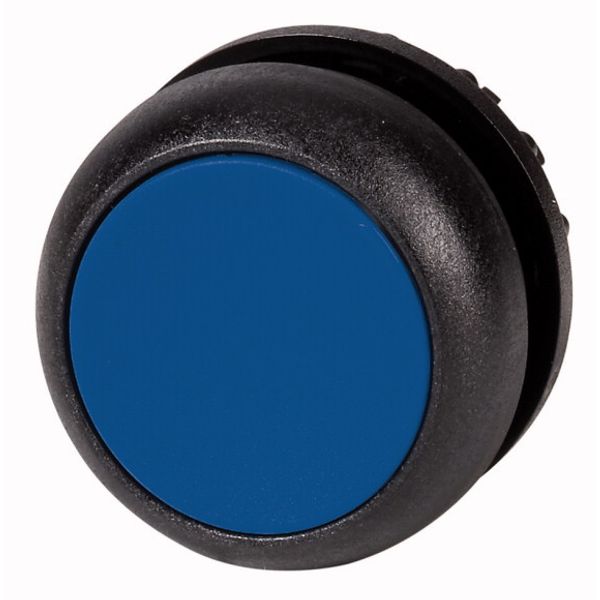 Illuminated pushbutton actuator, RMQ-Titan, Flush, maintained, Blue, Blank, Bezel: black image 1