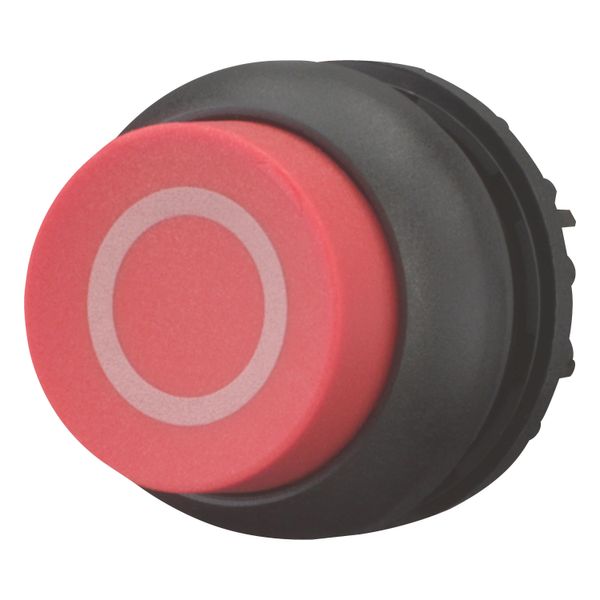 Pushbutton, RMQ-Titan, Extended, maintained, red, inscribed, Bezel: black image 9